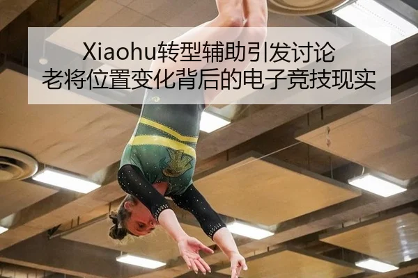 Xiaohu转型辅助引发讨论 老将位置变化背后的电子竞技现实 - hth